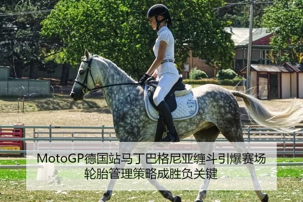 de-guo-zhan-ma-ding-ba-ge-ni-ya-chan-dou-yin-bao-sai-chang-lun-tai-guan-li-ce-lve-cheng-sheng-fu-guan-jian-2-995.jpg